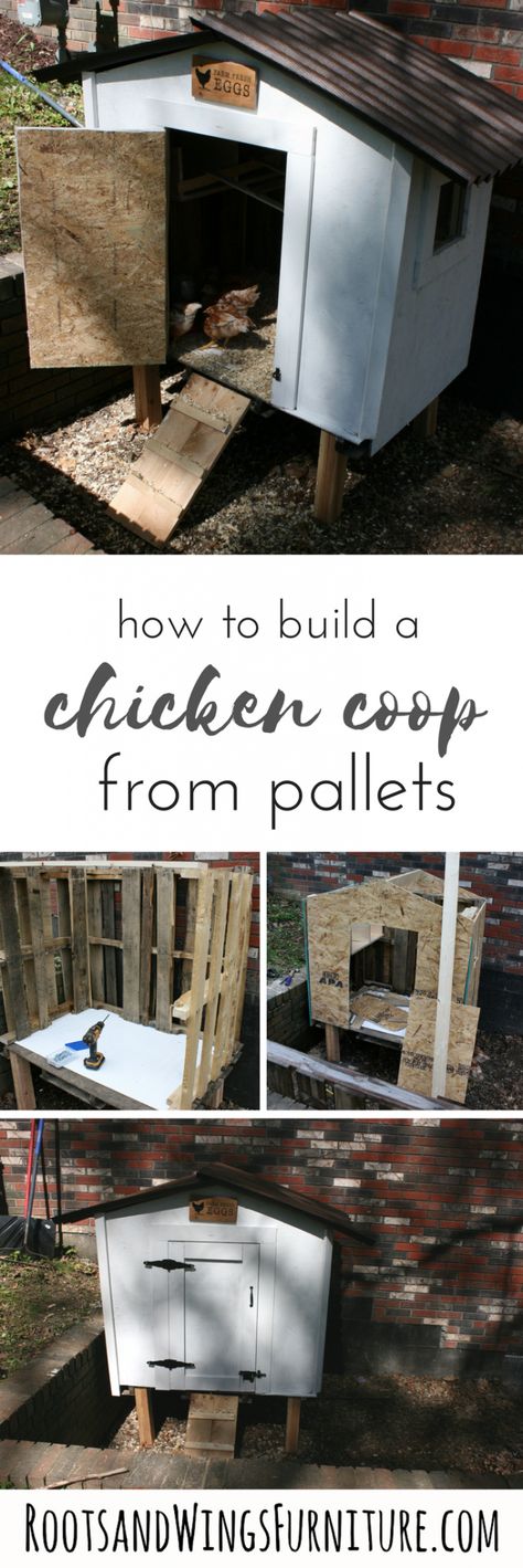 How to Build a DIY Chicken Coop from Pallets • Roots & Wings Furniture LLC Chicken Coop From Pallets, Coop From Pallets, Cheap Chicken Coops, Chicken Coop Pallets, Build A Chicken Coop, Small Chicken Coops, Pallet Furniture Plans, Portable Chicken Coop, Urban Chickens