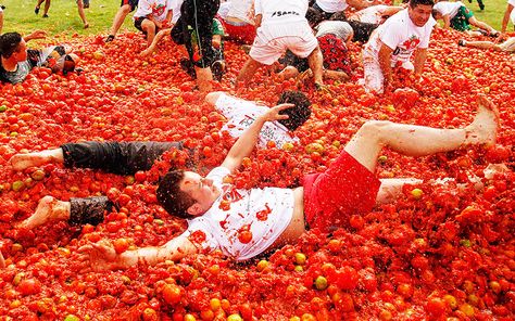 Watch the highlights of the annual La Tomatina festival in Spain, which is   also today's Google Doodle La Tomatina Festival, La Tomatina, Holi Party, Olive Press, New Spain, Cherry Blossom Festival, Festivals Around The World, Event Exhibition, Food Festival