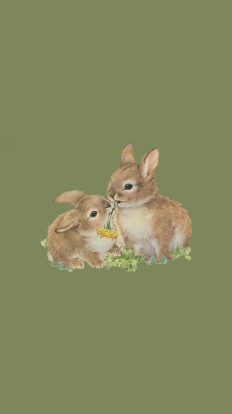 Easter Aesthetic Bunny, Bunnies Wallpaper Aesthetic, Green Rabbit Wallpaper, Vintage Easter Wallpaper Iphone, Vintage Bunny Wallpaper, Easter Lockscreen, Green Sanrio Wallpaper, Aesthetic Rabbit Wallpaper, Bunny Lock Screen Wallpaper