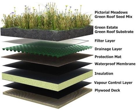 Green Roof House, Earth Sheltered Homes, Casa Hobbit, Grass Roof, Earth Sheltered, Living Roofs, Desain Lanskap, Roof Construction, Roof Architecture