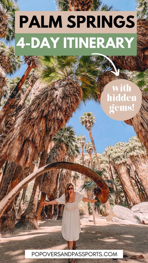 Palm Springs Itinerary, Palm Springs Hiking, Palm Springs Outfit, Palm Springs Vacation, Palm Springs Hotels, Palm Springs Bachelorette, California Travel Guide, Palm Spring, Palm Springs California