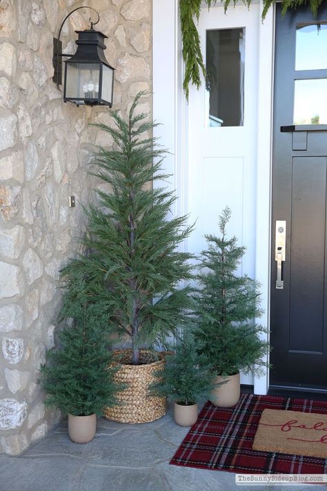 Porch Christmas Tree, Christmas Planters, Winter Porch, Front Porch Christmas Decor Ideas, Porch Christmas Decor Ideas, Porch Christmas Decor, Front Porch Christmas, Christmas Decor Ideas Diy, Christmas Tours