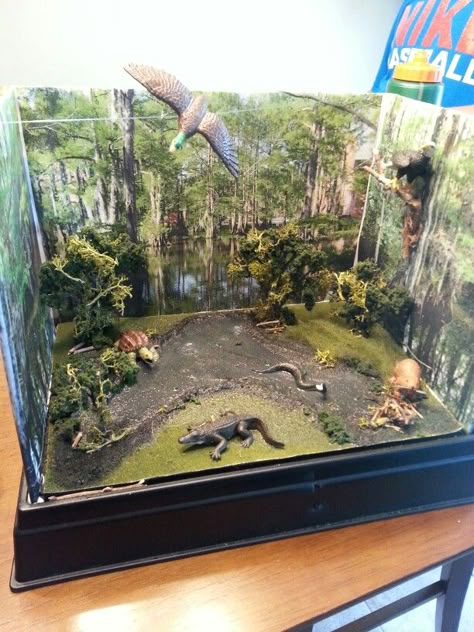 Swamp diorama Dinosaur School Project, Wetland Biome, Wetland Ecosystem, Ecosystems Diorama, Elementary School Projects, Rainforest Project, Biomes Project, Swamp Theme, Diorama Kids