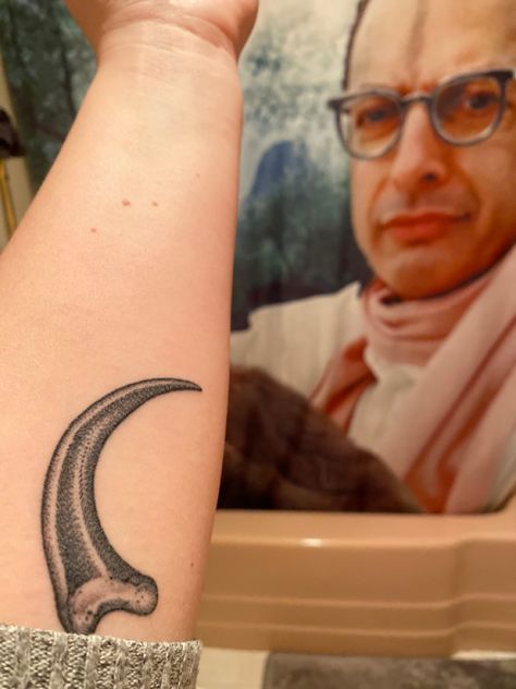 Jeff Goldblum Tattoo, Dinosaur Claw Tattoo, Velociraptor Claw Tattoo, Velociraptor Skeleton Tattoo, Teradactyl Tattoo, Jurassic Park Tattoo Small, Life Finds A Way Tattoo, Velociraptor Tattoo Small, Raptor Claw Tattoo