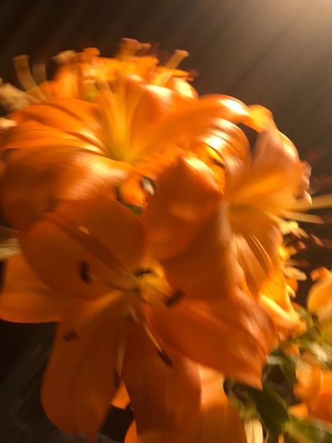 Tangerine Color Aesthetic, Orange Aura Aesthetic, Yellow Orange Flowers, Orange Aura, Golden Hour Aesthetic, Flowers Orange, Flowers Yellow, Nothing But Flowers, Orange Aesthetic