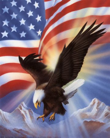 America the Beautiful Eagle Flying, Independance Day, I Love America, The American Flag, Home Of The Brave, Land Of The Free, We Are The World, An Eagle, Old Glory