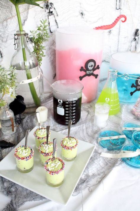 Sharing all the crazy DIY's and gooey recipes from a scary spooky Halloween Mad Scientist Party for the holidays. Mad Scientist Halloween, Creative Baby Shower Themes, Mad Science Party, Mad Scientist Party, Lego Themed Party, Scientist Party, مشروعات العلوم, Science Birthday, Science Party