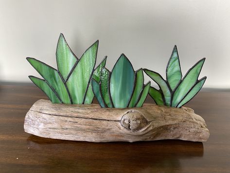 Stained Glass Driftwood, Stained Glass On Driftwood, Beginner Stained Glass Patterns Free, Stained Glass Plants, Stained Glass Diy Tutorials, Cactus Arrangements, Stained Glass Succulent, Stained Glass Cactus, Window Living Room