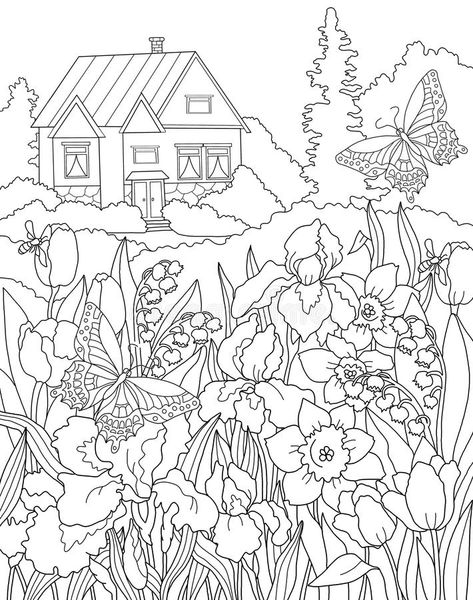 Modele Zentangle, Garden Coloring Pages, Garden Coloring, Portfolio Photo, Secret Garden Coloring Book, Secret Garden Colouring, Gardens Coloring Book, صفحات التلوين, Detailed Coloring Pages