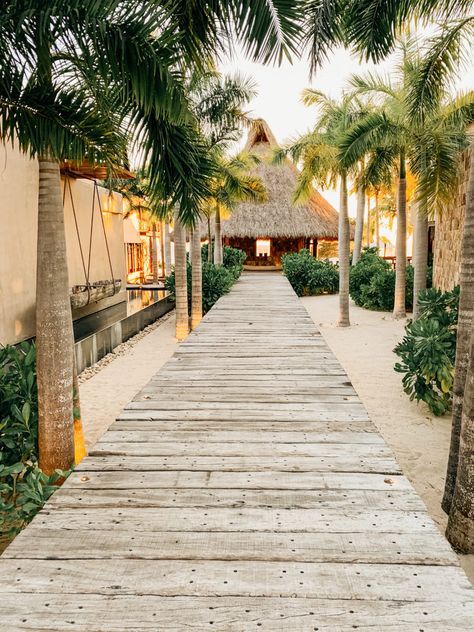 CASA KOKO // PUNTA MITA MEXICO Beach Restaurant Design, African Safari Lodge, Punta Mita Mexico, Mexico House, Resort Architecture, Concept Models Architecture, Eco Hotel, Bali Beaches, Beach Cabana