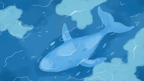 Swimming Blue Whale Cartoon Background In Ocean Cool Backrounds, Beach Cartoon, Fish Background, Ocean Drawing, Cartoon Whale, Ocean Images, Ocean Backgrounds, High Resolution Backgrounds, Slide Background