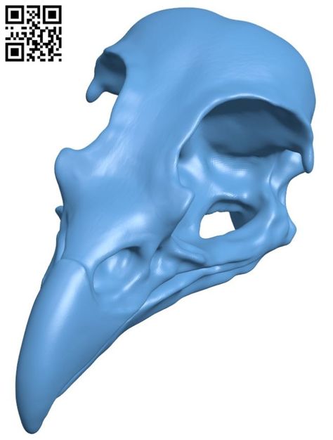 Eagle skull H007620 file stl free download 3D Model for CNC and 3d printer – Free download 3d model Files 3d Printing Stl Files, Free Stl Files 3d Printer, Free 3d Printer Files, Engraving Stone, Stl Free Download, Eagle Skull, 3d Printer Files, 3d Files, 3d Printing Art