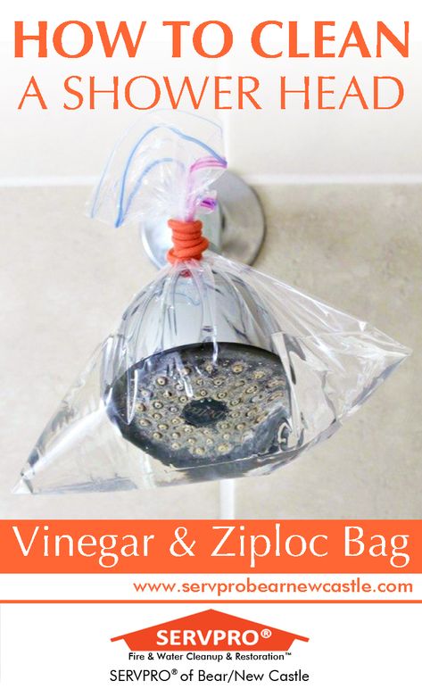 How to Clean Your Shower Head with Vinegar and a Ziploc Bag  Fill a Ziploc bag with vinegar. Now, submerge your shower head in the bagged vinegar and twist a rubber band around it tightly. Let stand overnight, then rinse by running a hot shower.  Call SERVPRO of Bear/New Castle, DE at (302) 392-6000 for all your cleaning, water damage, fire damage and mold remediation needs! Homemade Toilet Cleaner, Cleaning Painted Walls, Deep Cleaning Tips, Household Cleaning Tips, Shower Cleaner, Toilet Cleaning, Bath Tub, Bathroom Cleaning, Natural Cleaning Products