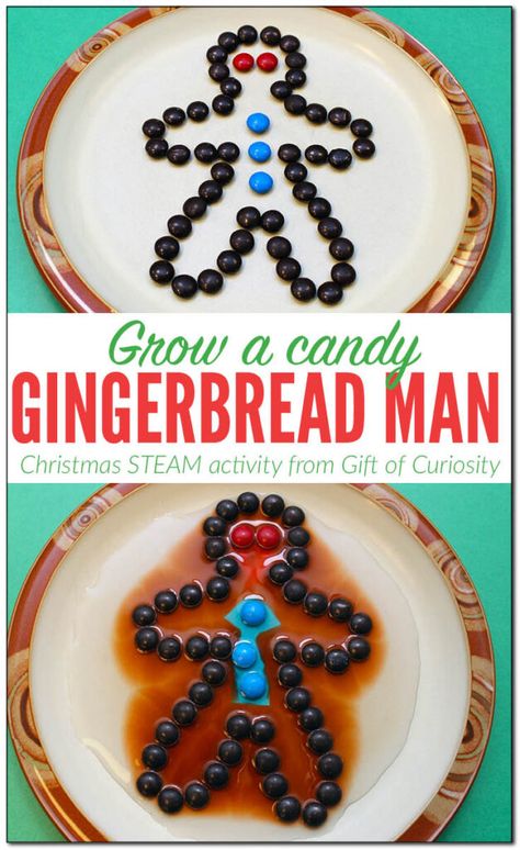 Gingerbread Science Preschool, Gingerbread Man Science, Gingerbread Science, Gingerbread Literacy, Preschool Gingerbread, Christmas Science Activities, Steam Kids, Gingerbread Man Activities, Gingerbread Activities