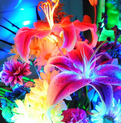 http://www.flickr.com/photos/emellin66/5525405119/ Pixie Aesthetic, Lily Seeds, Lily Bulbs, Neon Flowers, Textil Design, New Retro Wave, Neon Aesthetic, Neon Color, Neon Colors