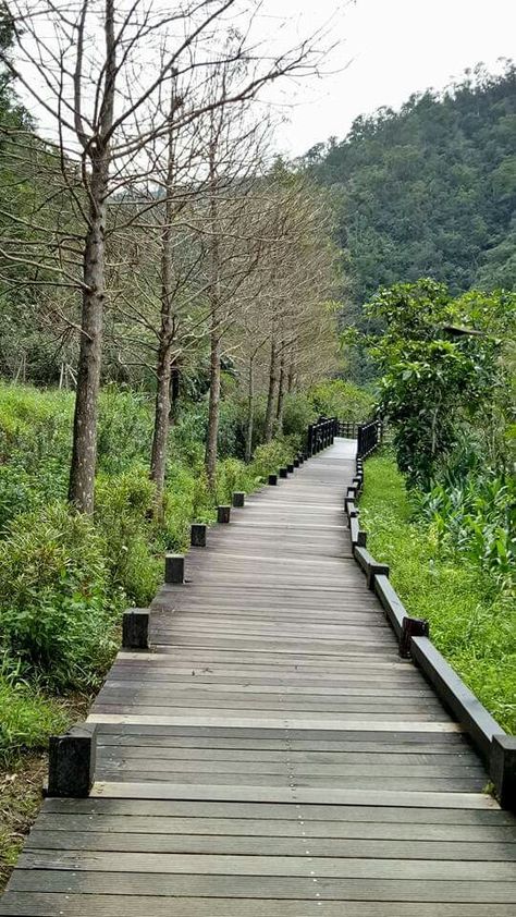 Glass Walkway, Wood Path, Walkways Paths, Wood Architecture, Garden Architecture, Railing Design, Forest Design, Built Environment, Garden Paths