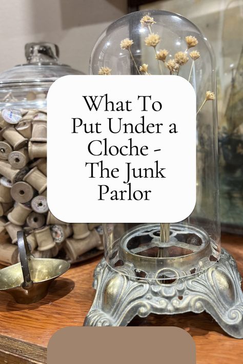 If you've ever asked yourself the question "What do I put under a cloche?", then you are in luck! The Junk Parlor has provided an insightful guide to help you discover the answer. In this post you will discover how to use the timeless item in the home to elevate your decor and showcase your personal style. Learn how to select the right items to put under your cloche and transform the look of your home! Tall Cloche Ideas, Bell Cloche Ideas, Match Cloche Decor, Cloche Decor Christmas, Fall Cloche Decor Ideas, How To Decorate A Cloche, Cloche Fall Decor, Large Cloche Decor Ideas, Glass Cloche Decor Ideas