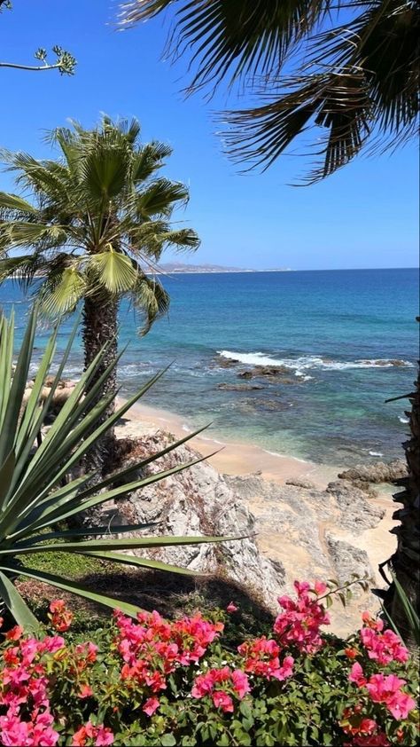 Tropical Places, Dreamy Beach, Wallpaper Iphone, Palm Trees, The Beach, Hawaii, Trees, Holidays, Iphone