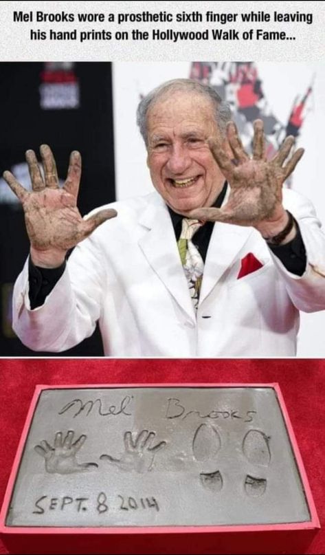 Mel Brooks Movies, Mood Memes, Mel Brooks, Funniest Pictures, Super Funny Pictures, Most Asked Questions, The Walk, Film Tv, Hollywood Walk Of Fame