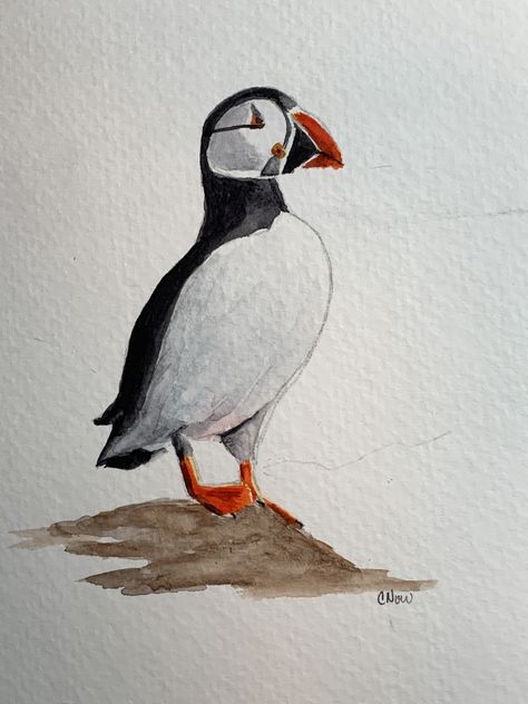 Puffin Watercolor Paintings, Puffin Sketch, Watercolour Puffin, Puffin Watercolor, Puffin Drawing, Puffin Painting, Ireland Scrapbook, Puffin Art, Quick Watercolor