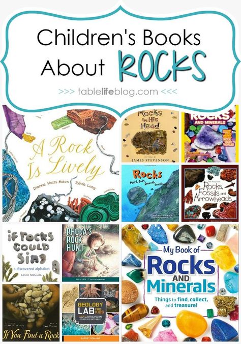 What to Read: Children's Books about Rocks and Minerals Rock Unit, Disturbing Books, Make A Book, National Geographic Kids, Living Books, Homeschool Activities, Homeschool Science, Books For Boys, Nature Study