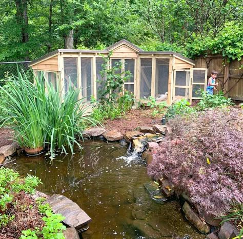 Duck Coop And Run, Runner Duck Coop Ideas, Quack Shack Ideas, Duck Coop With Pool, Duck Coop Ideas Backyards, Easy Duck Coop, Duck Sanctuary, Chicken And Duck Coop Combo, Duck Enclosure Ideas