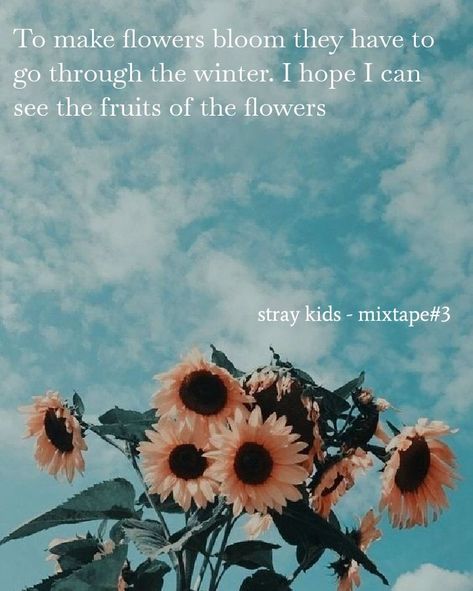 Kids Captions For Instagram, Kpop Captions, Skz Backgrounds, K Pop Lyrics, Skz Quotes, Instagram Lyrics, Pop Quotes, Caption Lyrics, Inspirational Lyrics