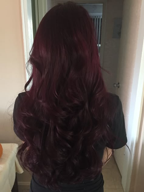 Gorgeous wine/eggplant hair Darkest Burgundy Hair, Dark Wine Red Hair Burgundy, Ruby Noir Hair Color, Curly Plum Hair, Deep Mahogany Hair Color, Ruby Wine Hair Color, Deep Wine Hair Color, Eggplant Hair Color, Cherry Wine Hair Color