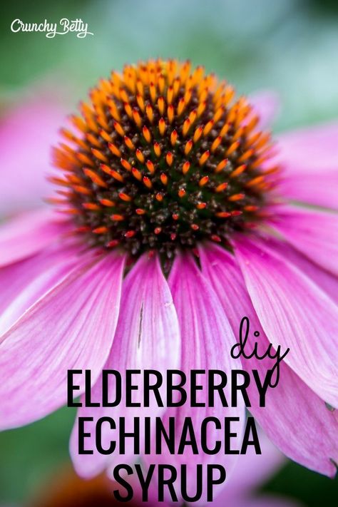 Echinacea Syrup, Food Cabinet, Elderberry Syrup Recipe, Elderberry Recipes, Natural Medicine Cabinet, Echinacea Tea, Herbal Medicine Recipes, Gummies Recipe, Elderberry Gummies