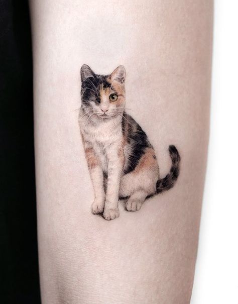 Cat Tats, Egyptian Cat Tattoos, Watercolor Cat Tattoo, Cat Paw Tattoos, Lucky Cat Tattoo, Cat Portrait Tattoos, Gato Calico, Cat Tattoo Simple, Tato Minimal