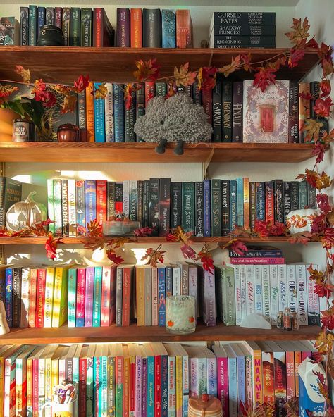 currently reading & watching 🧸☕️🍂🕯️ I felt like I needed some romance so I’m finally reading you, again 🧡 I added a bookshelf to my room & I wanted to show it off a bit. I’m not quite done styling it but it’ll do for now. Q: what is your fave fall movie? Reading Widget, Cottagecore Bookshelf, Fall Reading Aesthetic, Romance Book Aesthetic, Book Lounge, Hanging Bookshelf, Bookshelf Inspo, Book Bedroom, Aesthetic Bookshelf