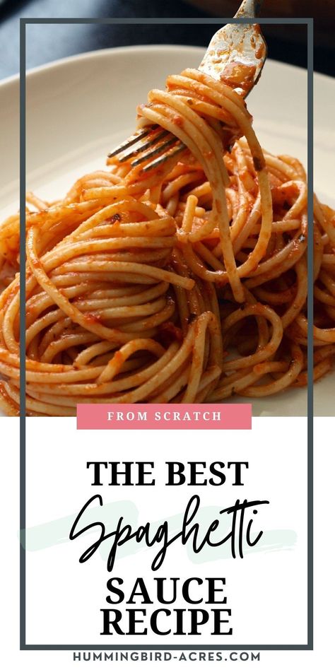 Looking for an easy, no-salt spaghetti sauce recipe? This scrumptious and flavorful homemade recipe is just what you need! Ready to give it a try? Get the ingredients list and full instructions here and start cooking now! From Scratch Spaghetti Sauce, No Salt Spaghetti Sauce Recipe, Scratch Spaghetti Sauce, Making Spaghetti Sauce, Making Spaghetti, Best Spaghetti Sauce, Homemade Spaghetti Sauce Recipe, Canned Spaghetti Sauce, Scratch Cooking