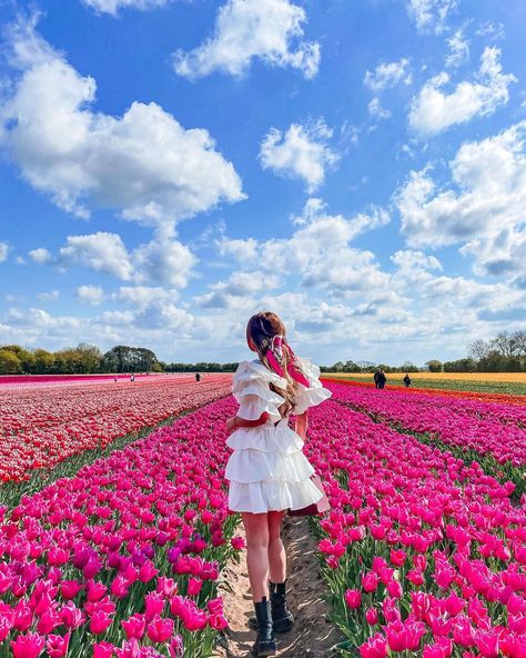 🌸 Raluca ✨London✨Travel 🌸 on Instagram: “Starting the day with this beautiful view! Fell so in love with the tulip fields and I really hope you guys will enjoy the content as much…” Tulip Festival Outfit Ideas, Tulip Garden Photoshoot, Tulip Photoshoot Photo Ideas, Tulip Field Photoshoot, Tulip Outfit, Spring In Amsterdam, Tulip Photoshoot, Sunflower Maze, Spring Picture Ideas