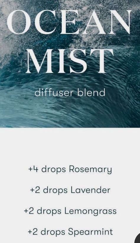 OCEAN MIST DIFFUSER BLEND ESSENTIAL OILS Beachy Essential Oil Blends, Ocean Diffuser Blends, Ocean Essential Oil Blend, Diffuser Reed, Diffuser Scents, Summer Essential Oils, Essential Oil Mixtures, Eo Blends, Essential Oil Combinations