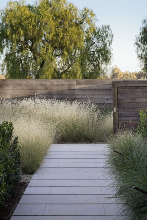 scott-lewis-vineyard-retreat-grasses-northern-california #moderngardendesign Modern Garden Landscaping, Garden Screening, Modern Landscape Design, Modern Garden Design, Grasses Garden, Landscape Design Plans, Have Inspiration, Contemporary Garden, Native Garden