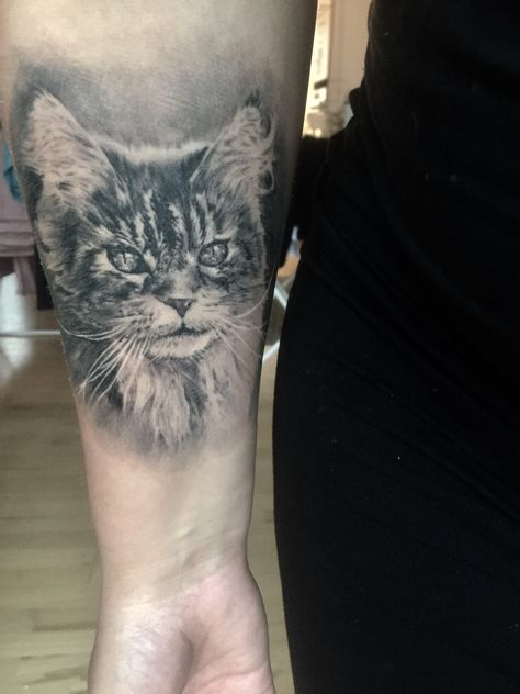 Main Coon cat tattoo #maincoon #tattoo Maincoon Tattoo, Cat Tattoo, Tatting, Tattoos, Quick Saves