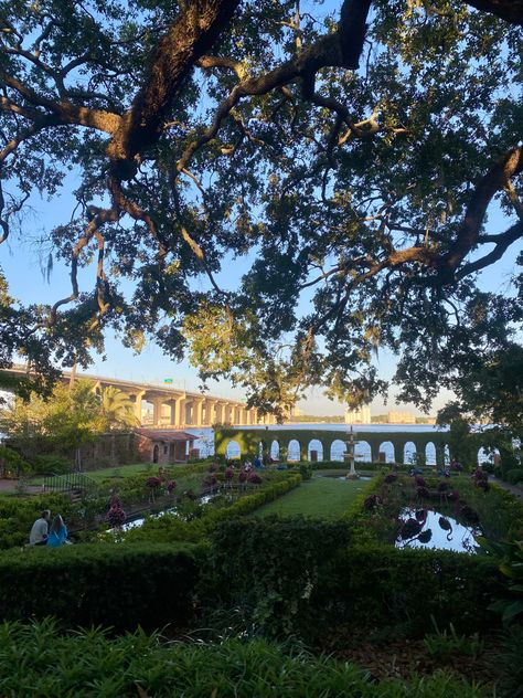 Downtown Jacksonville Florida, Florida Art, Italian Garden, Jacksonville Florida, Spring Aesthetic, Summer Days, Nature Art, Road Trip, Arch