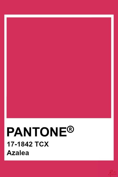 Pantone Azalea Raspberry Aesthetic Color, Raspberry Colour Palette, Raspberry Moodboard, Raspberry Color Aesthetic, Raspberry Color Palette, Pantone Raspberry, Raspberry Aesthetic, Pink Pantone, Pantone Tcx