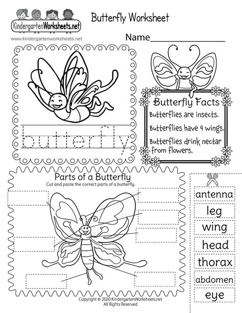 Children can learn how to spell butterfly by tracing the word, read basic facts about butterflies, and then match words with parts of a butterfly in a fun cut and paste activity. Butterfly Life Cycle Kindergarten, Butterfly Science Activities, Parts Of A Butterfly, Butterfly Body Parts, Birds Activities, Butterfly Worksheet, Spring Colouring, Insects Kindergarten, Butterfly Lessons