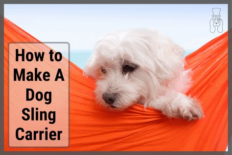 How to Make A Dog Sling Carrier. save your money – Sir Doggie Diy Dog Carrier Sling, Diy Dog Carrier, Dog Carrier Pattern, Dog Holder, Cat Sling, Dog Sewing Patterns, Dog Carrier Sling, Puppy Carrier, Pet Sling