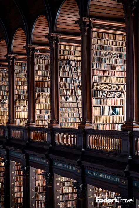 Studera Motivation, Dark Acadamia, Dream Library, Beautiful Library, Old Library, Library Aesthetic, Hogwarts Aesthetic, Have Inspiration, Dark Academia Aesthetic