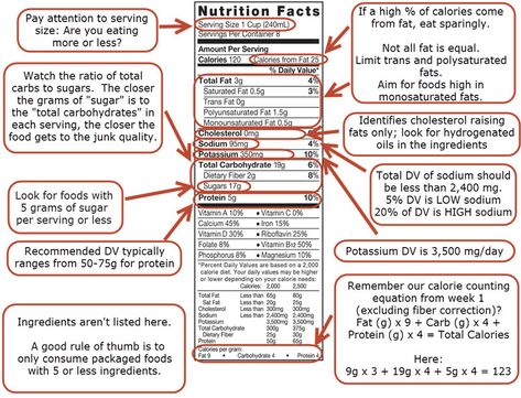 Read Food Labels, Nutritionist Diet, Label Produk, Healthy Eating Guidelines, Nutrition Facts Label, Reading Food Labels, Food Label, Nutrition Guide, Nutrition Labels