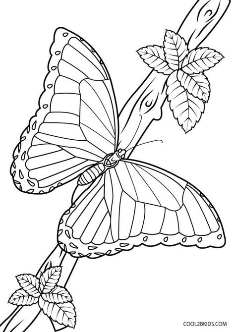 Printable Butterfly Coloring Pages For Kids Monarch Butterfly Coloring Pages, Coloring Page Butterfly, Free Butterfly Coloring Pages, Butterfly Colouring Pages, Coloring Pages Butterflies, Butterfly Coloring Pages Free Printable, Butterfly Pictures To Color, Butterfly Coloring Pages For Adults, Printable Butterfly Coloring Pages