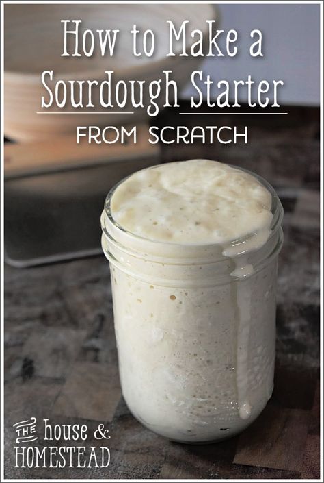 How to Make A Sourdough Starter From Scratch - The House & Homestead Dough Starter Recipe, Make A Sourdough Starter, Resepi Roti, Yeast Starter, Sourdough Bread Starter, Dough Starter, Easy Sourdough, Homemade Sourdough Bread, Bread Starter