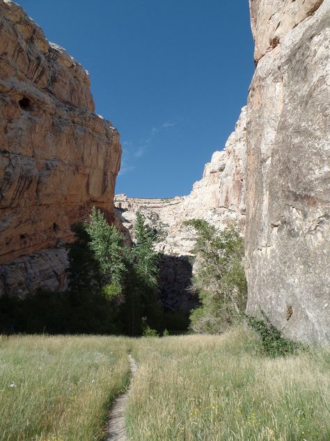 Hiking trail in Dinosaur National Monument, Colorado. Meeker Colorado, Vernal Utah, Colorado Hiking, Desert Landscape, Hiking Trail, Rv Travel, Travel Sites, Desert Landscaping, Hiking Trails