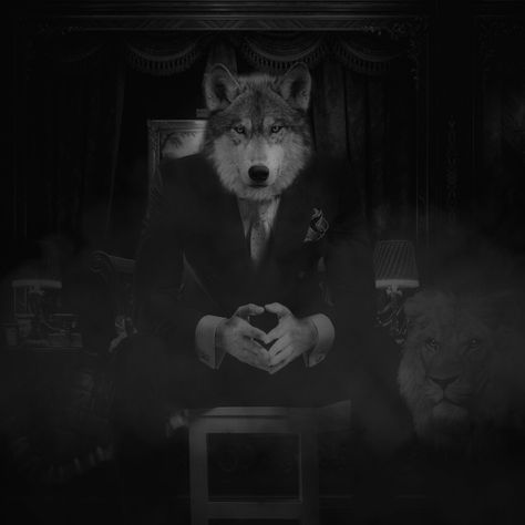 Alpha Wolf, A Wolf, A Man, Black And White, The World, White, Black, Instagram