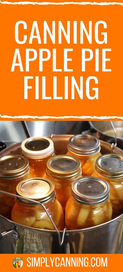 Apple Recipes For Canning, Freezing Meals, Canning Apple Pie Filling, Canned Apple Pie, Apple Pie From Scratch, Water Bath Canning Recipes, Canning Apples, Apple Pie Filling Recipes, Canning Fruit