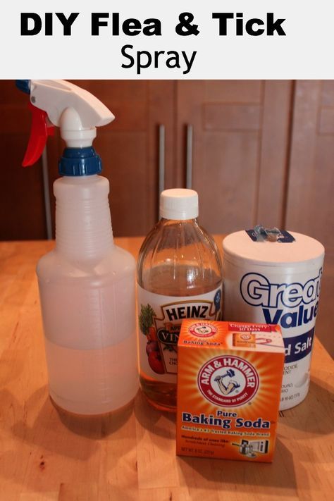 Homemade Flea and Tick Spray Homemade Flea Spray, Flea Spray For Dogs, Flea Remedies, Pet Remedies, Flea And Tick Spray, Tick Spray, Flea Spray, Tick Repellent, Dog Remedies