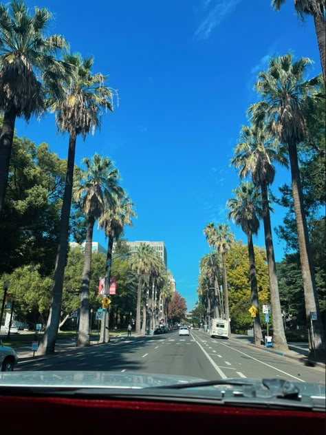 #palmtrees #sacramento #cali #california #tree #sunny #aesthetic #fashion #sun Sacramento California Aesthetic, Sacramento Aesthetic, California Suburbs, Bay Area Aesthetic, Discovery Bay California, Desktop Widgets, Sac State, Sunny Aesthetic, California Apartment