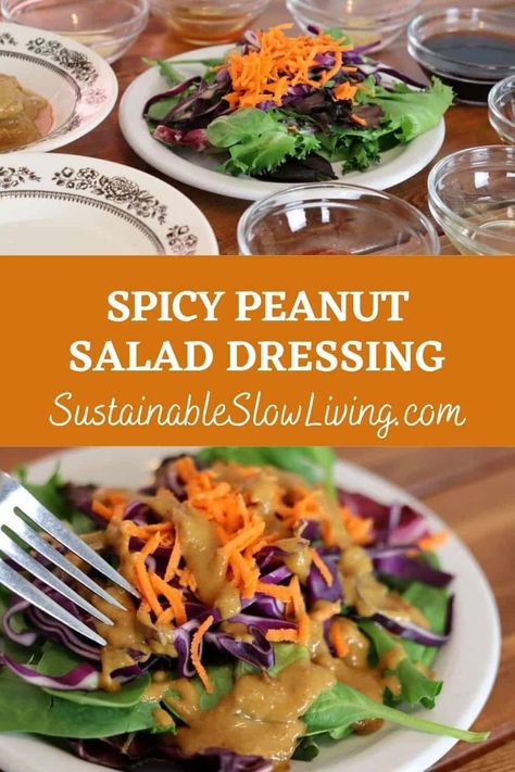 That spicy peanut salad dressing that they put on your starter salads at Thai restaurants is crazy easy to make. AND it’s so darn good! Spicy Peanut Dressing Recipe, Spicy Thai Peanut Dressing, Spicy Asian Dressing Recipes, Peanut Thai Dressing, Asian Peanut Salad Dressing, Spicy Peanut Vinaigrette Recipe, Peanut Dressing Thai, Spicy Salad Dressing Recipes, Soy Salad Dressing